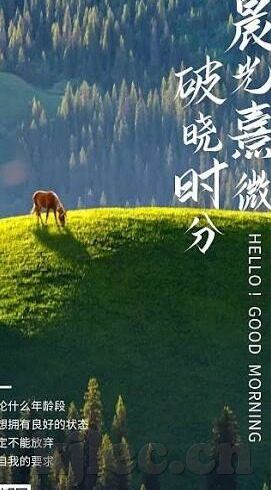 成人在线免费黄色视频-成人在线免费黄色视频，网络时代的隐忧与反思