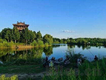 大象传媒下载过卸载了-重新审视数字时代的大象传媒与个人选择，下载、体验与卸载的背后