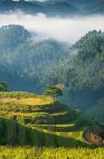 麻豆av电影-麻豆AV电影，内容现象、市场探讨与社会观点