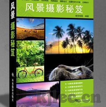麻豆视频91-网络世界的边缘反思，麻豆视频91现象的反思