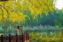 麻豆天天躁天天揉揉av-麻豆天天躁与揉揉av，解开青春的迷惘