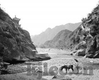 《年轻的岳坶》中文字幕-青春的轨迹，年轻的岳坶中文字幕下的成长印记