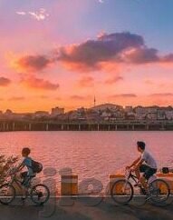 人妻的-细腻生活，人妻的角色与情感微妙