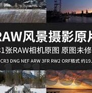 糖心直播app官网下载-网络直播新风尚，探索糖心直播APP的无限魅力