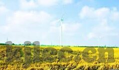 亚洲麻豆av在线播放-怎样合理地看待网络内容与个人认知偏见，勿为标新立异牺牲理性